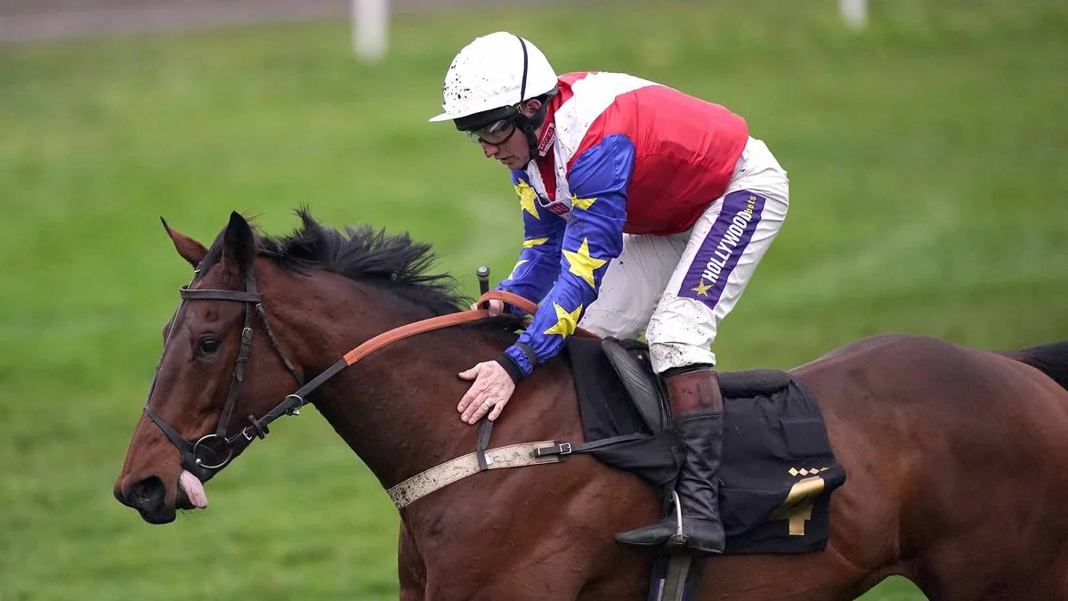 Cheltenham Festival Tragedy: Horse Hansard Dies in Arkle Race