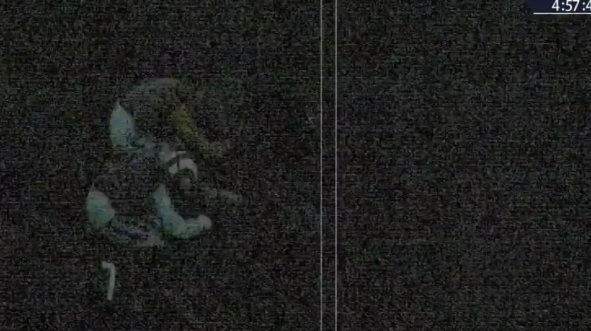 Cheltenham Race Chaos: Trainer Accepts Defeat After Dark Photo Finish