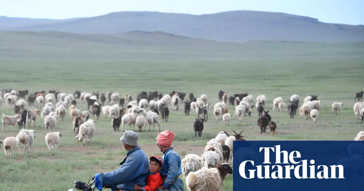 Shepherd Job Goes Viral as Chinese Workers Seek Escape from '996' Grind