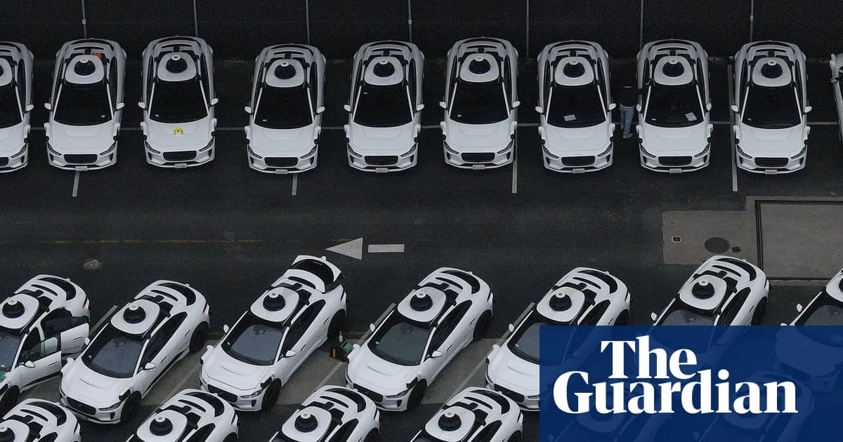 Wolmar's robotaxi warning should not be ignored, says professor