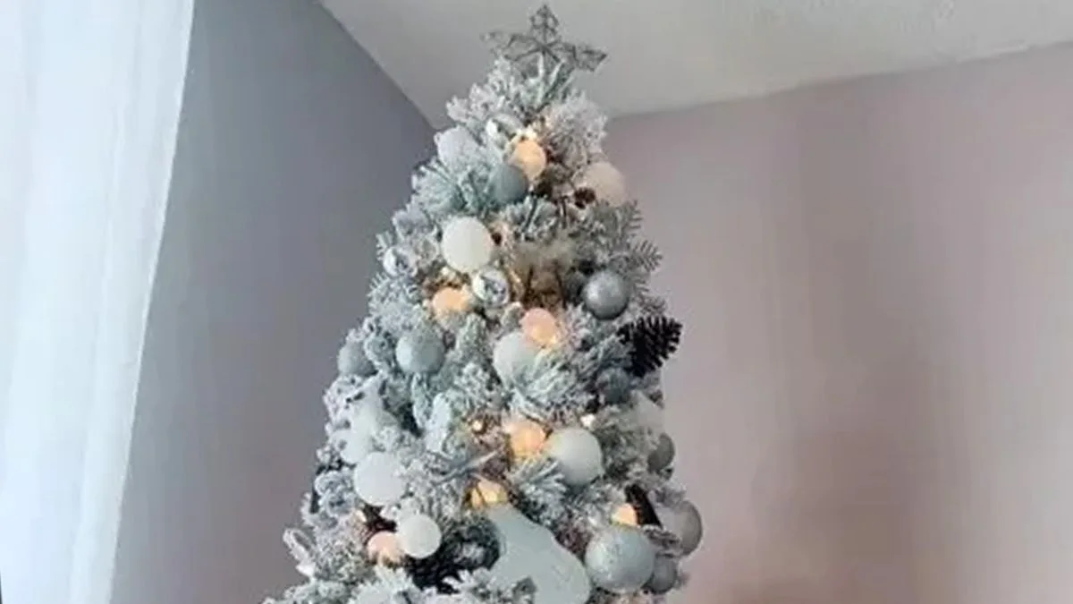 Christmas Tree Optical Illusion: Can You Find the Cat?