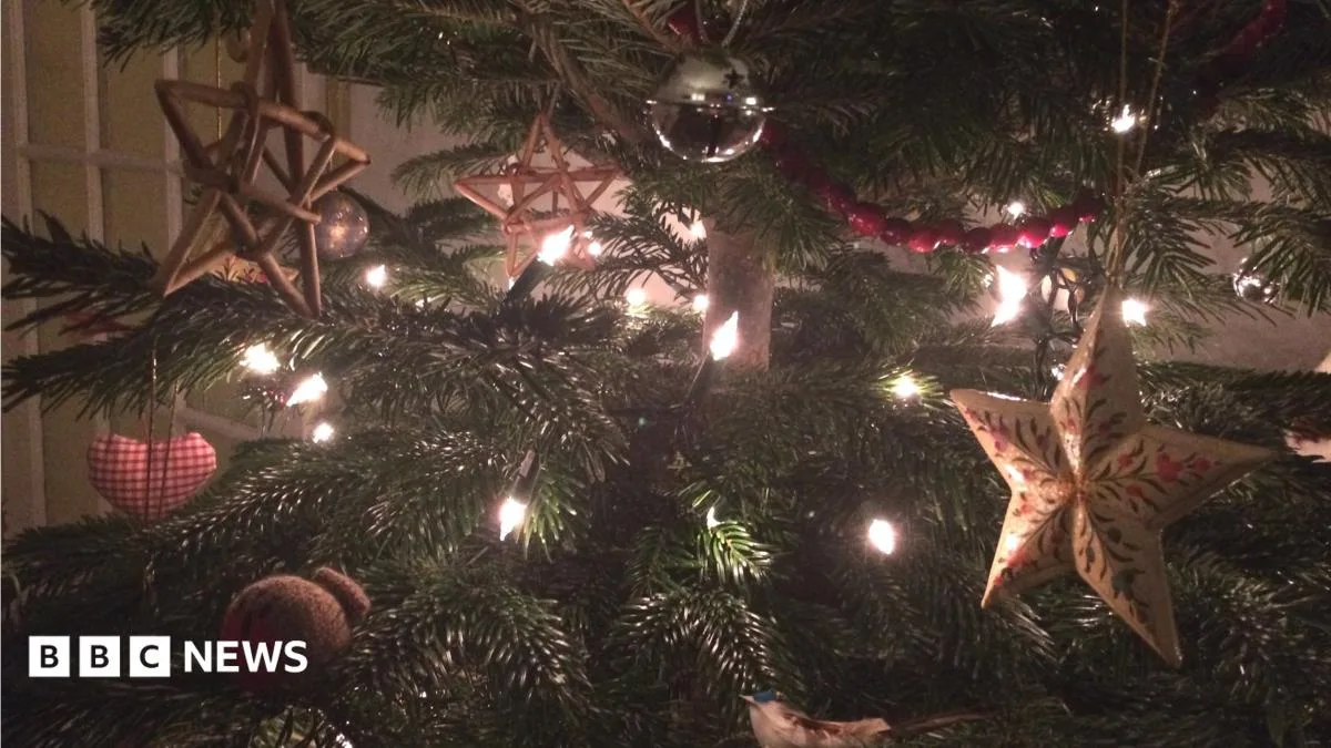 Real Christmas Trees Boost Health, Academic Claims