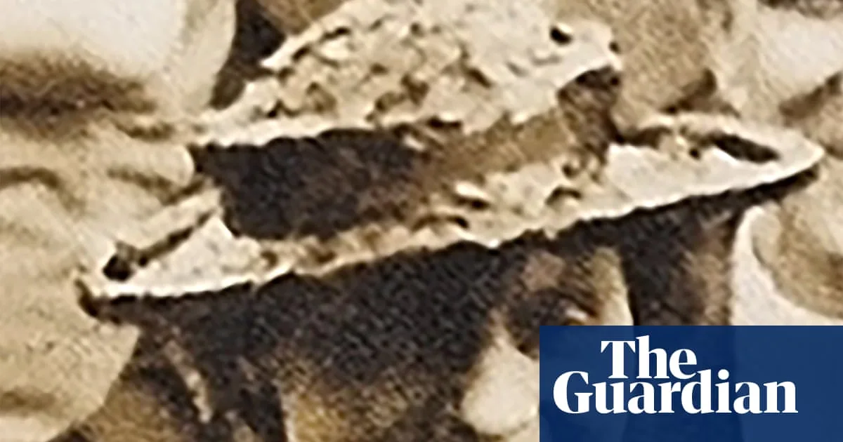 Cold case breakthroughs may become rarer due to forensic policing crisis, experts warn