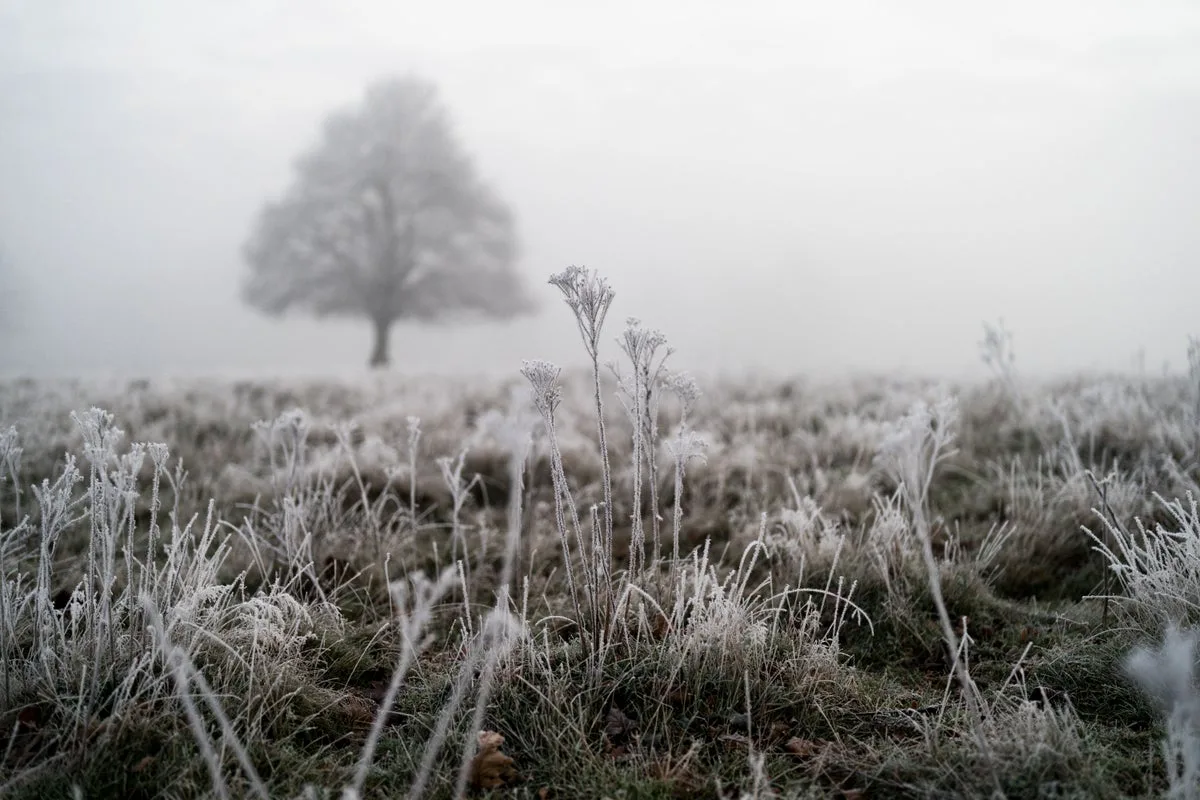 UK shivers through coldest May night in five years as temperatures drop to -6.1C