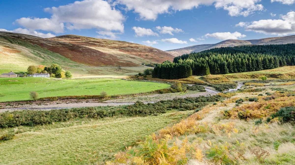 Discover Northumberland's College Valley: Wild Ponies and Iron Age Ruins