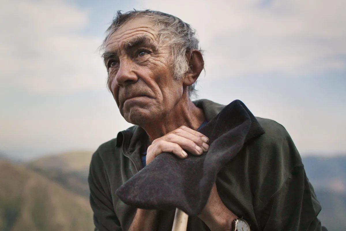 Complex Documentary Explores Bear Reintroduction Conflict in the Pyrenees