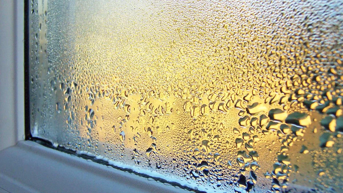Two Everyday Items That Beat Condensation: Salt and Cat Litter Hack Goes Viral