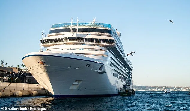 Cruise Expert Warns Britons: Excessive Drinking Could Void Travel Insurance