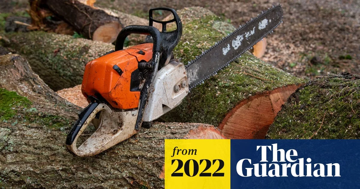 Unlimited Fines and Prison Sentences for Illegal Tree Felling in England from January