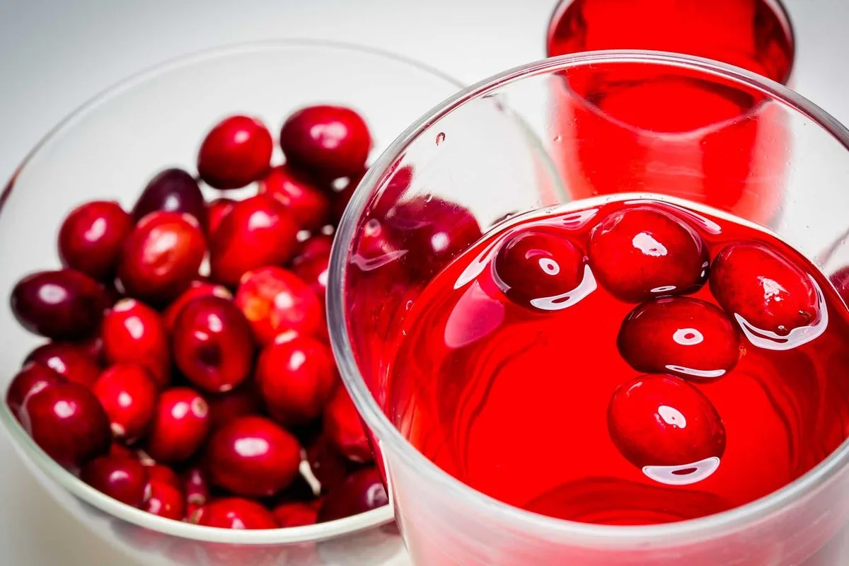 Cranberry Juice Could Boost Antibiotics Against Resistant Bacteria
