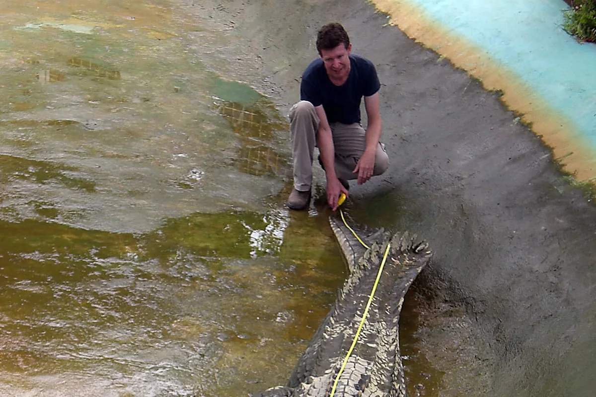 Crocodile Expert Admits to Sexually Abusing Dozens of Dogs
