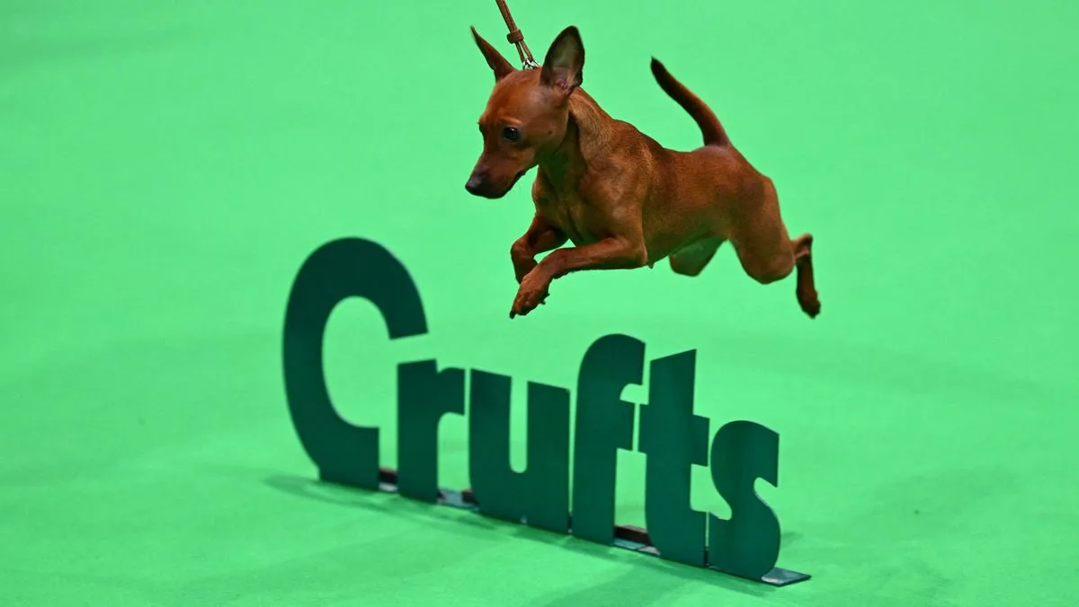Crufts 2026: Celebrities Praise Unforgettable Dog Show Experience