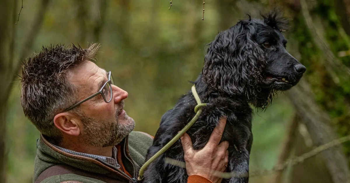 Crufts Dog Trainer Avoids Jail After Three Pets Die in Hot Car