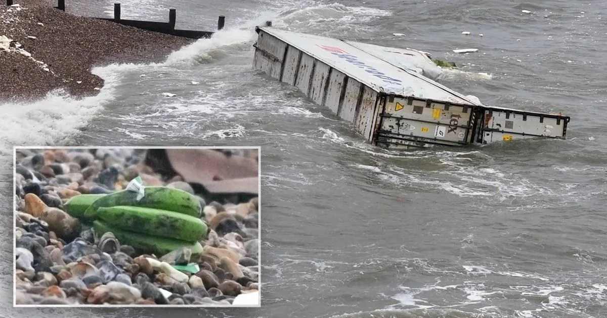 Banana Bonanza: Containers Spill in English Channel, Delaying Cruise Ship