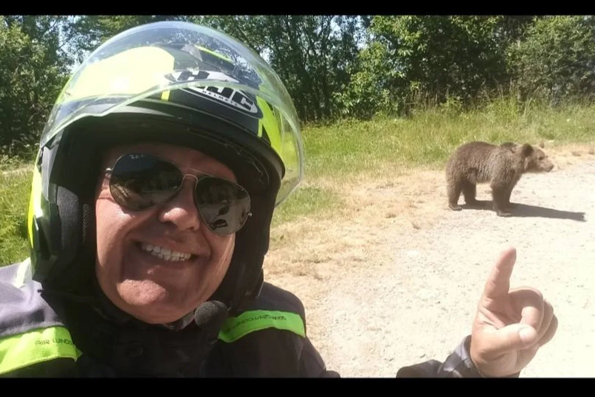 Italian Motorcyclist Mauled to Death by Bear After Taking Selfies with Animals