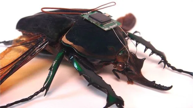 Darpa Mind Control Weapon Programme Silent After Trials