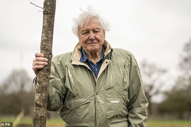 Sir David Attenborough at 100: The Private Man Behind the Icon