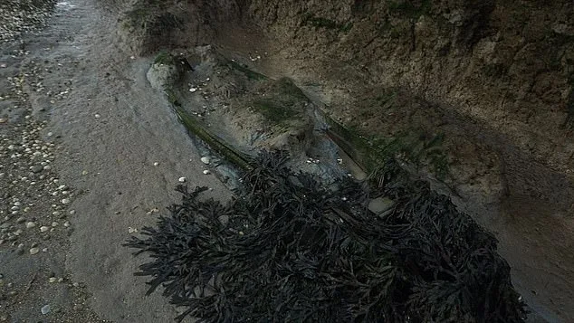 Deadman's Island Eroding Graveyard Reveals Its Dead