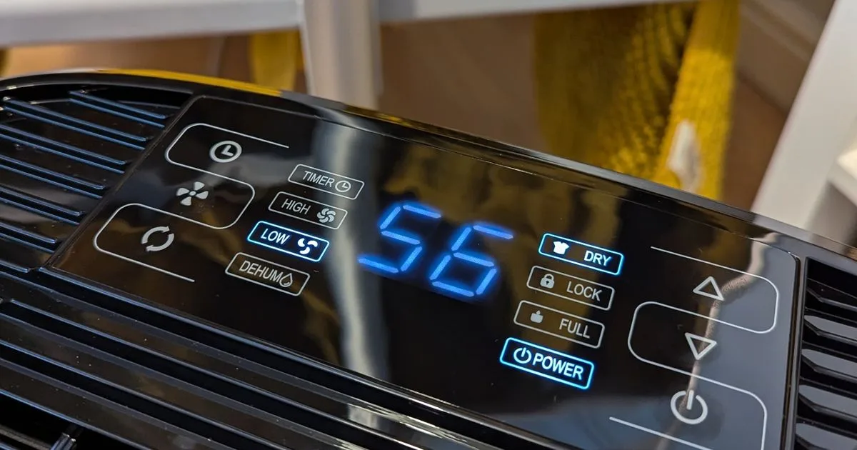 I Tried Martin Lewis's Dehumidifier Tip to Cut Drying Costs