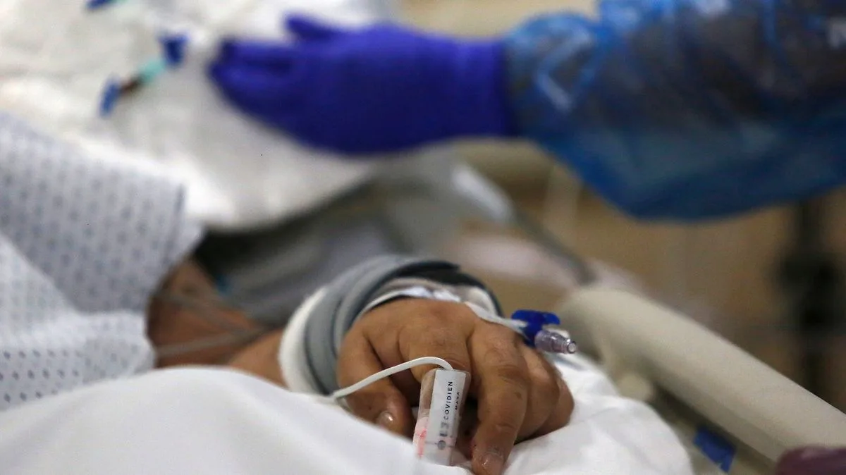 Dengue Fever Alert: UK Travellers Warned as Cases Reach Record High