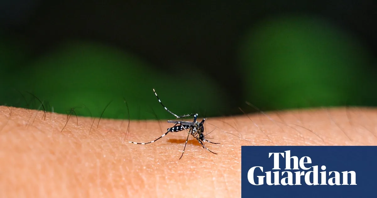 Climate Crisis Fuels Surge in Dengue Outbreaks Across Pacific Islands
