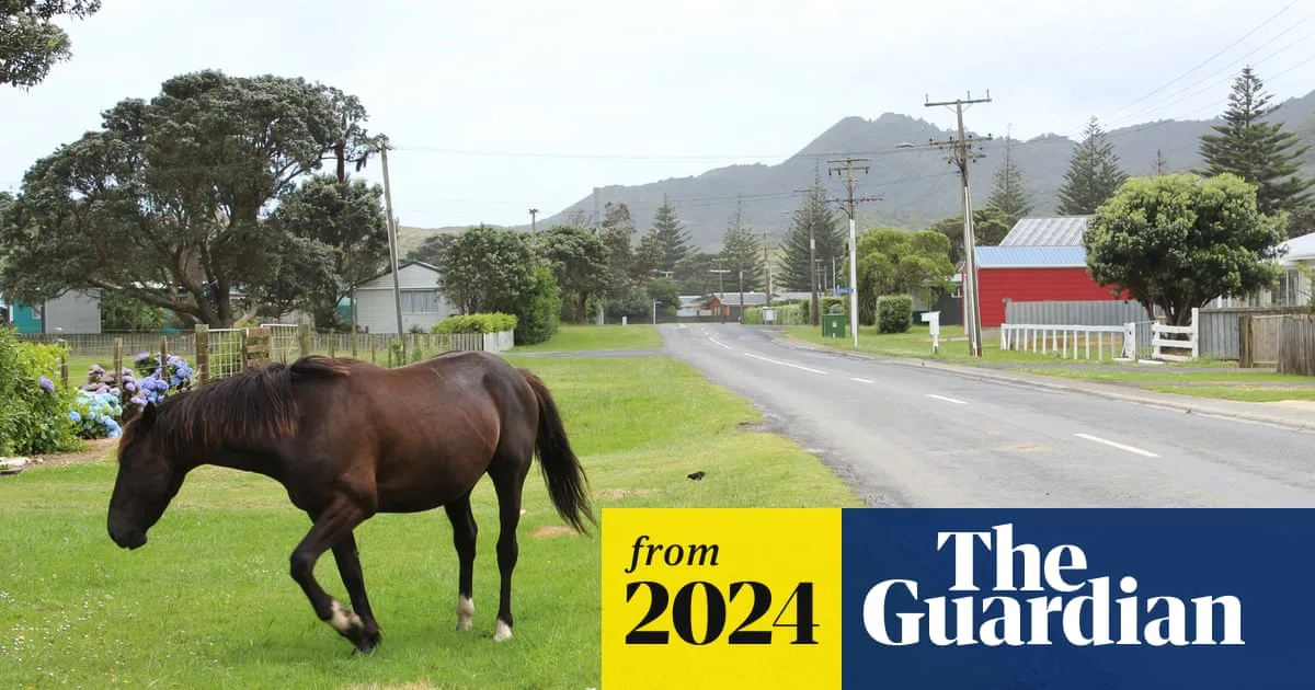 New Zealand’s Two-Year Search for Fugitive Father and Three Missing Children Continues