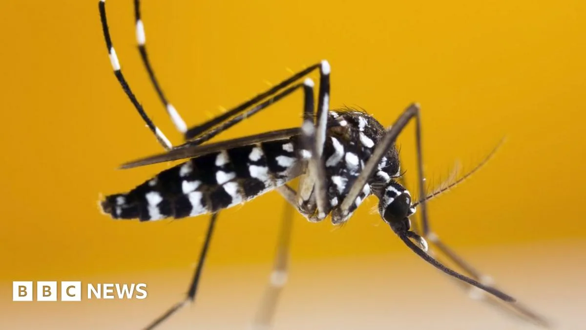 Mosquito-Borne Disease Risk Looms for UK, Health Officials Warn