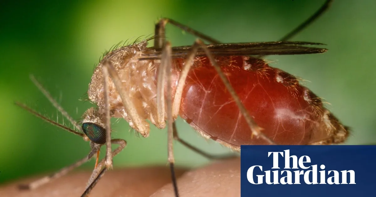 Climate Change Could Bring Tropical Mosquito-Borne Diseases to UK, Experts Warn