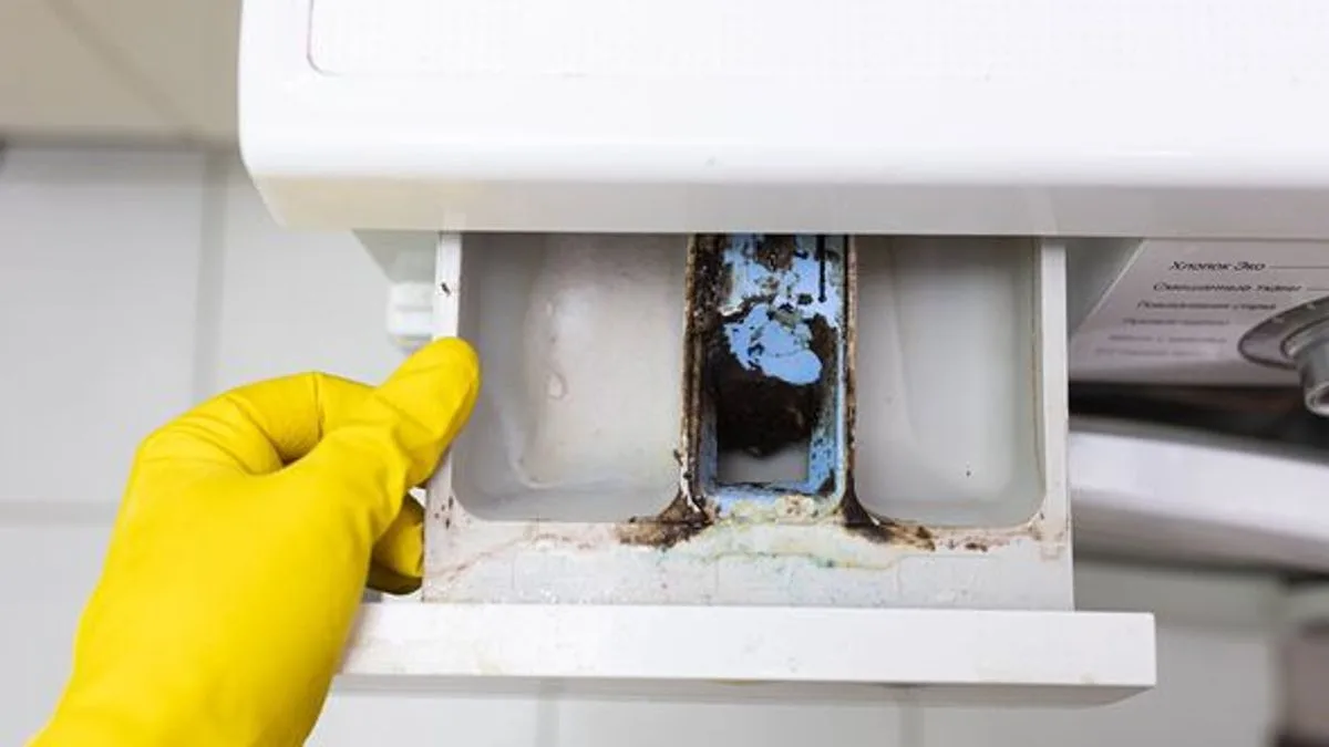 Two-Ingredient DIY Spray Promises Sparkling, Mould-Free Bathrooms