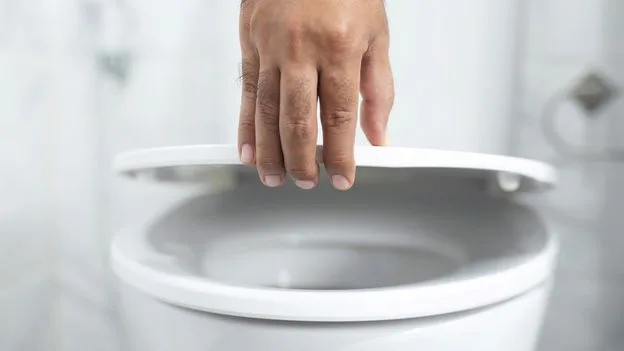 Microbiologists Dismiss Fears of Catching Diseases from Public Toilet Seats