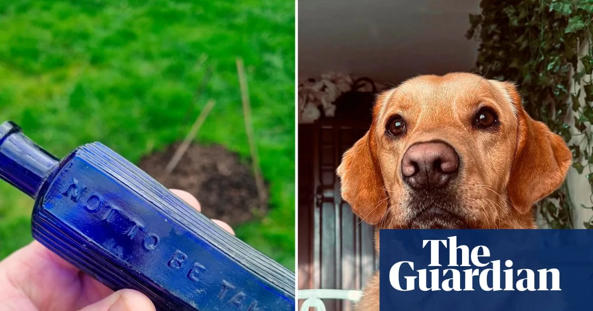 Dog digs up poison bottle linked to 1865 Devon murder case