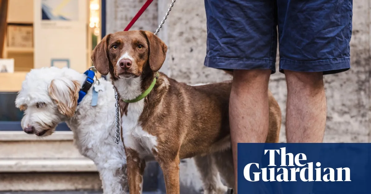 Dog Owners in Livorno Face £425 Fine for Pet Urine