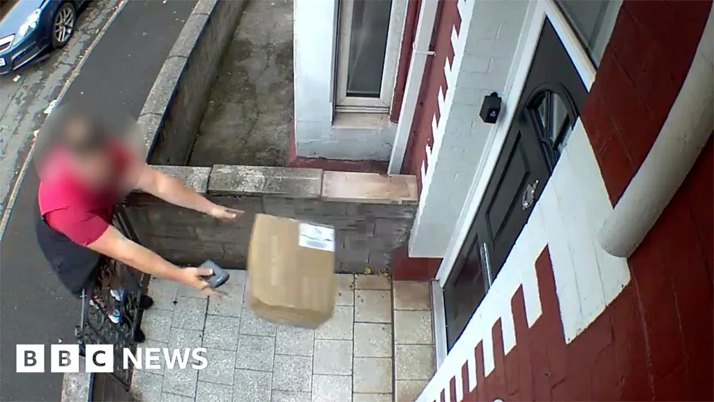 DPD Driver Fired After Throwing Parcel Over Gate in Essex