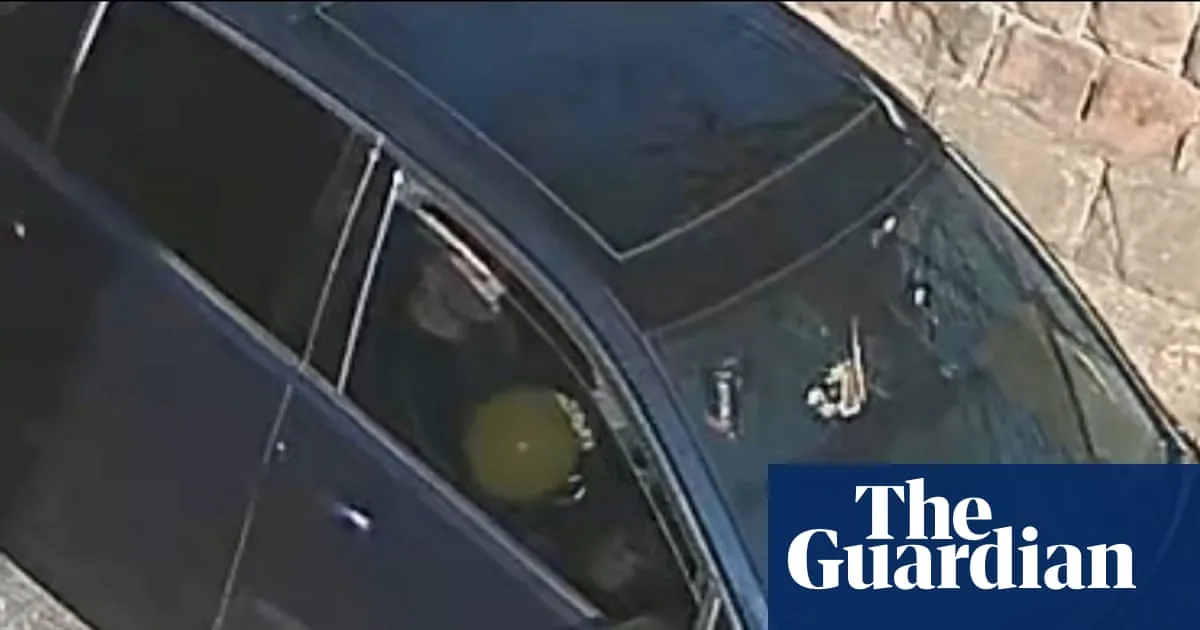 Driver Smirks Before Crying Over Nine Year Jail Sentence