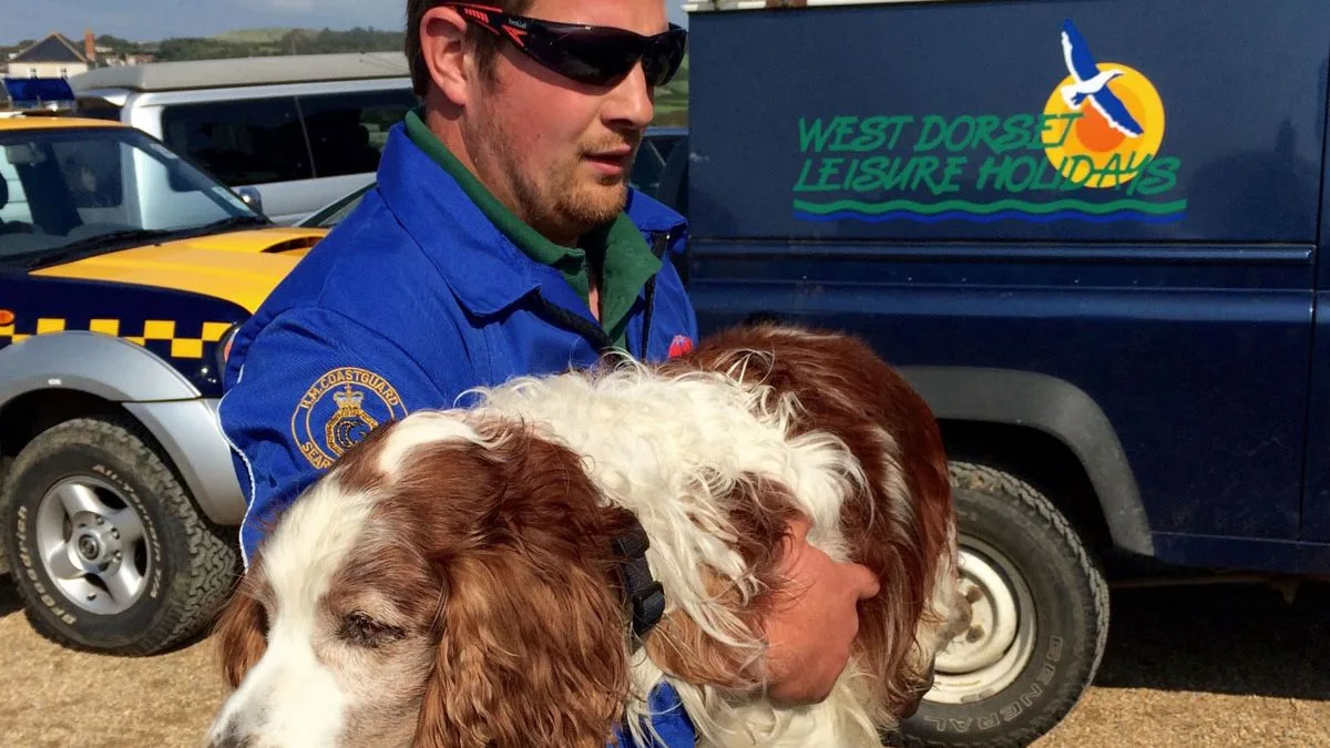 Blind Dog Survives 100ft Plunge from Broadchurch Cliff