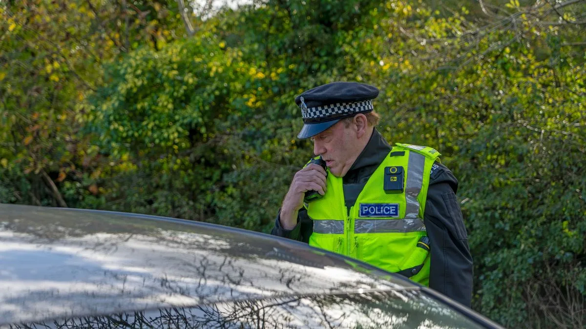 Driving Instructor Decodes Police Hand Signals for Confused Motorists