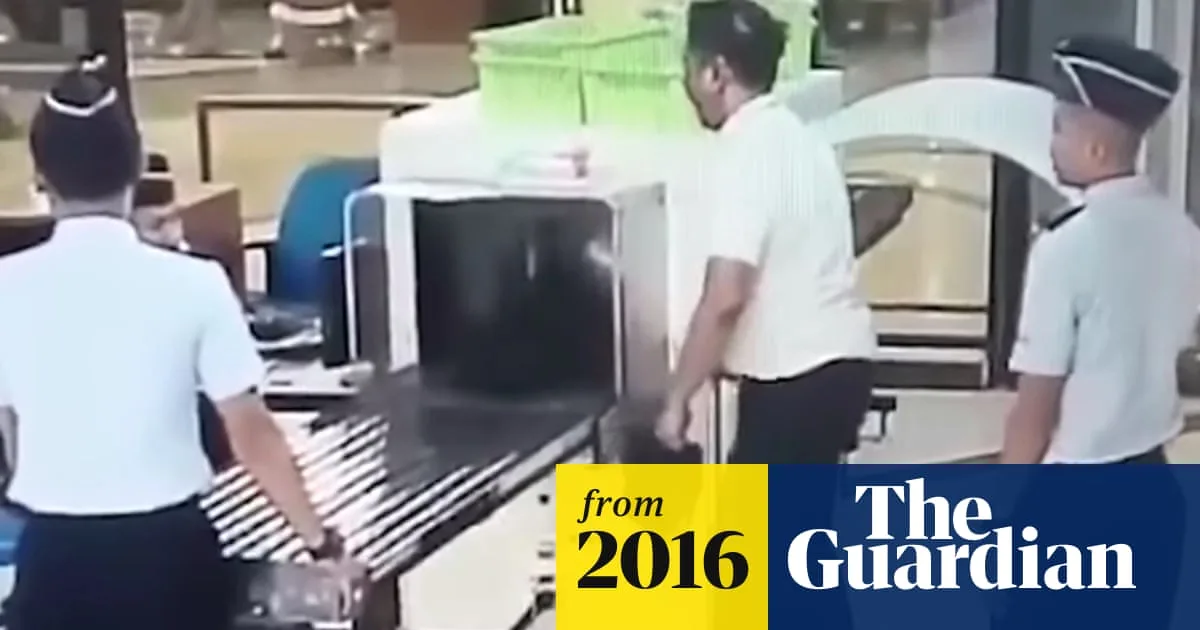 Indonesian Pilot Suspended Over Drunkenness Claims, Airline Executives Resign