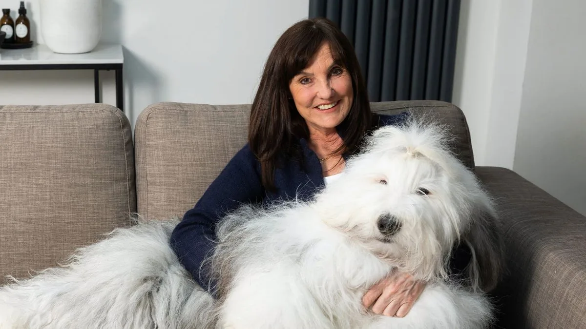 Dulux Dogs at Risk of Disappearing Forever