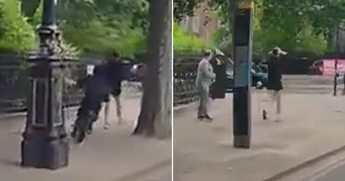 E-Bike Phone Snatcher Caught on Camera in London