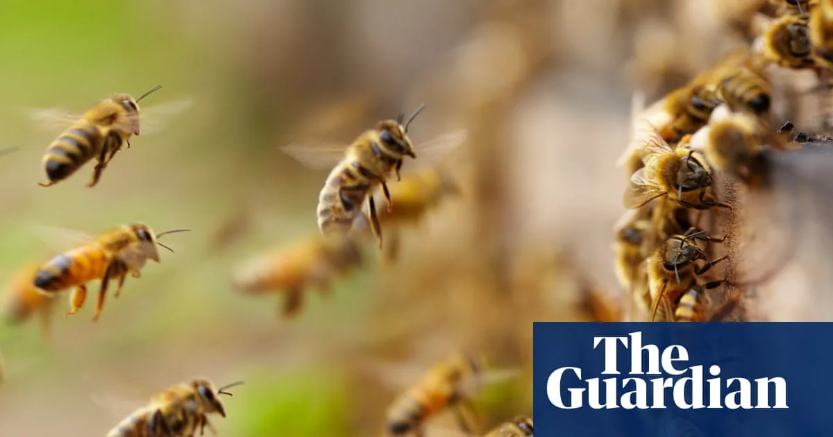 Early Bee Swarm Season Raises Climate Concerns