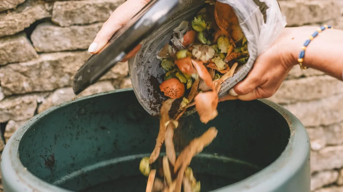 Crushed Eggshells: The Secret to Thriving Rosemary, Thyme, and Lavender