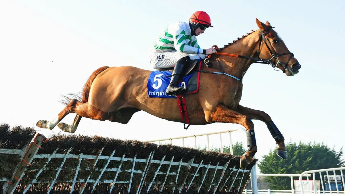 Gordon Elliott and Jack Kennedy Return to US with Zanahiyr for Iroquois Stakes