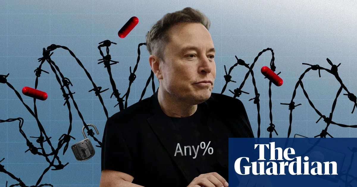 Elon Musk's Gamified Government: Doge and the Teen Coders