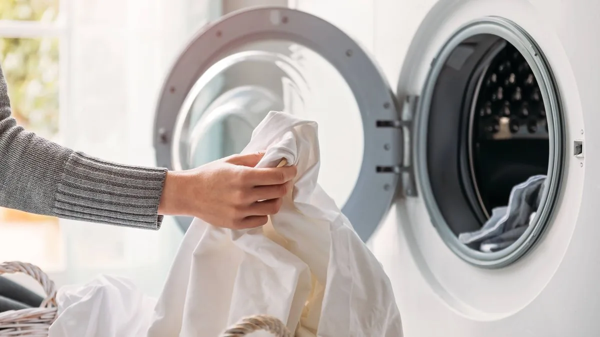 Energy Experts Reveal Cheapest Time to Use Appliances