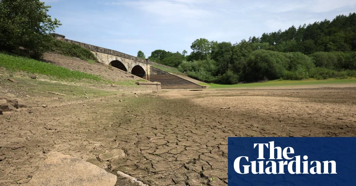 England Drought Crisis Deepens as Heat Threatens Wildlife