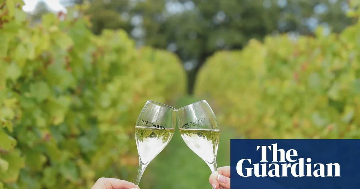 English Wines Toast Record Gold Medal Haul at International Wine Challenge