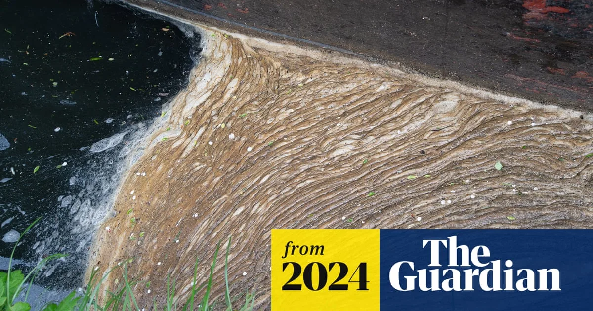 Nature Destruction Could Trigger Bigger Economic Slump Than 2008 Crisis, Experts Warn