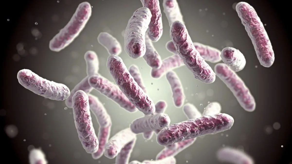 Legionella Found in Up to 15 Asylum Seeker Hotels, FOI Reveals