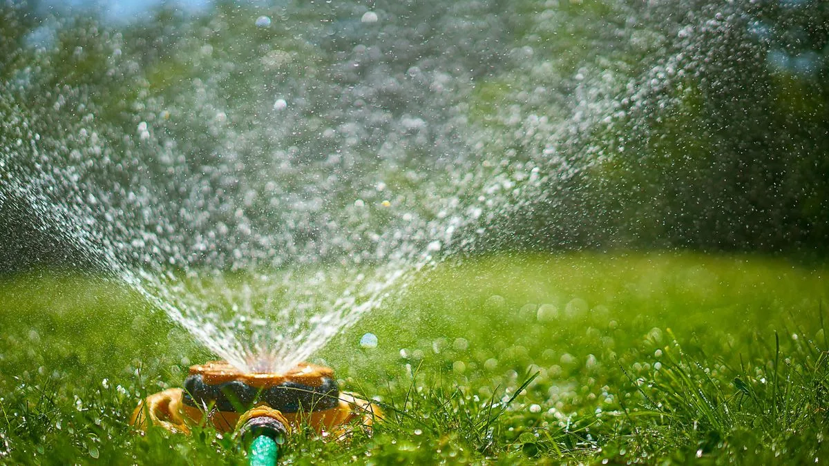 Epsom Salt: The Bathroom Staple for a Lush Green Lawn