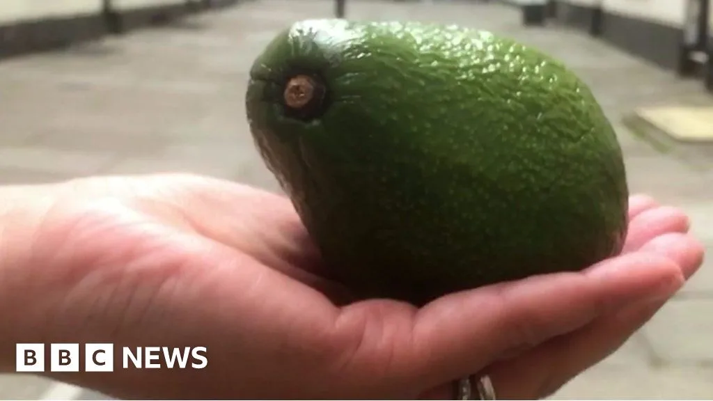 Surgeons Issue Warning Over 'Avocado Hand' Injuries